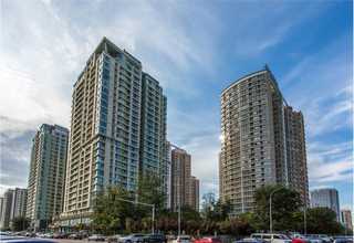 苏州手机金属探测器